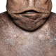 Illustration for article titled All Hail The Toad!